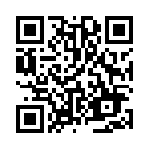 Web漏洞扫描工具